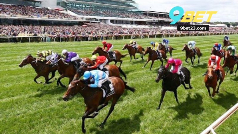 Cá Cược Đua Ngựa 9Bet - Hướng Dẫn Toàn Diện Mới Nhất 2025 2 Cá Cược Đua Ngựa 9Bet