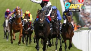 Cá Cược Đua Ngựa 9Bet