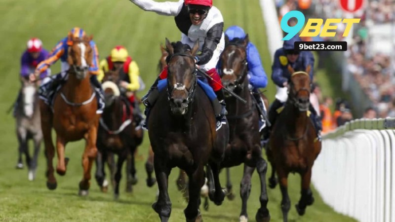 Cá Cược Đua Ngựa 9Bet