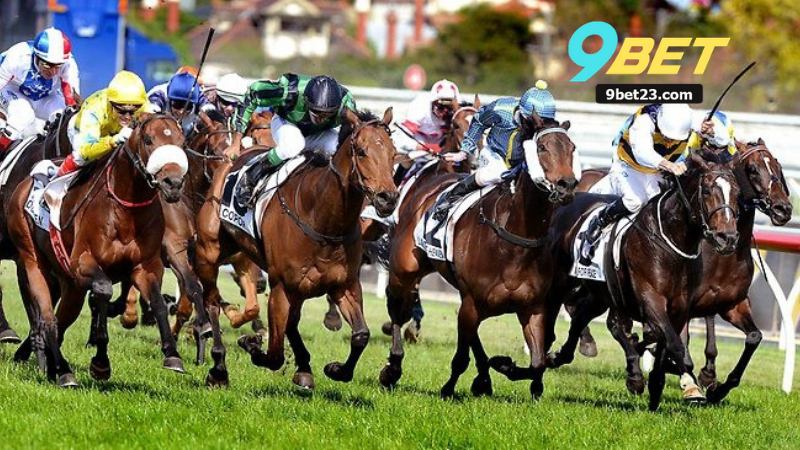 Cá Cược Đua Ngựa 9Bet - Hướng Dẫn Toàn Diện Mới Nhất 2025 4 Cá Cược Đua Ngựa 9Bet